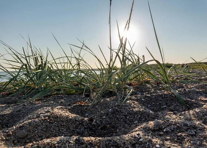 Oda ve Kahvaltı Strandidyl 3*